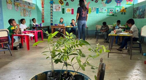 GUATEMALA_REFOREST ESCOLAR2.jpg